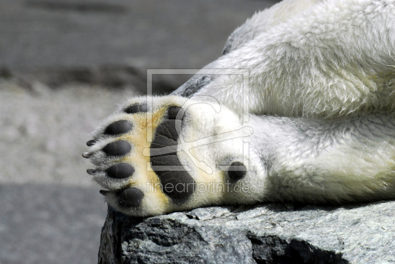 frei wählbarer Bildausschnitt für Ihr Bild auf Kissen