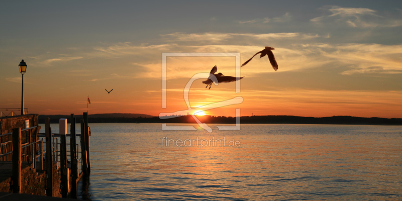 frei wählbarer Bildausschnitt für Ihr Bild auf Kissen