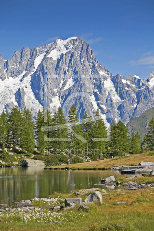frei wählbarer Bildausschnitt für Ihr Bild auf Kissen