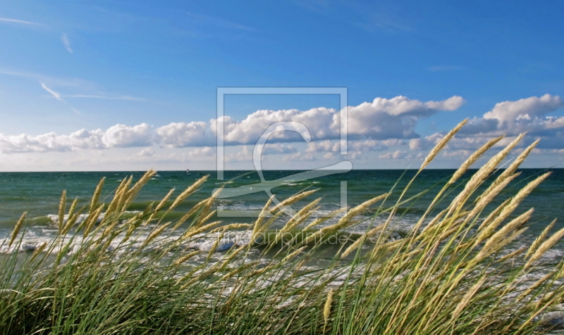 frei wählbarer Bildausschnitt für Ihr Bild auf Kissen