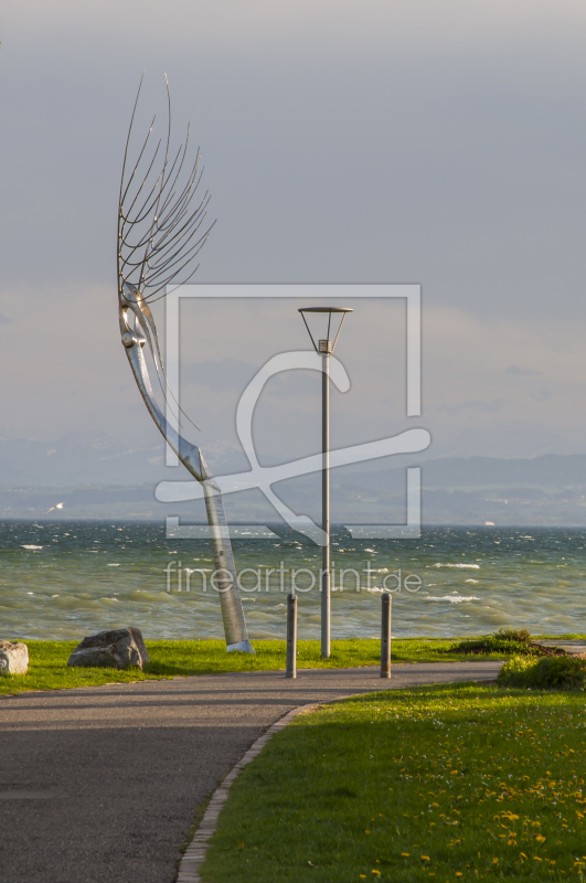 frei wählbarer Bildausschnitt für Ihr Bild auf Kissen