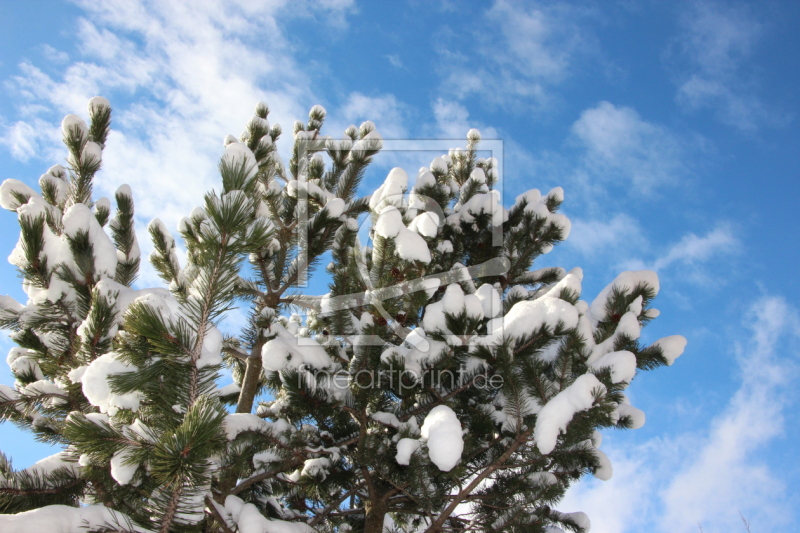 frei w&auml;hlbarer Bildausschnitt f&uuml;r Ihr Bild auf Kissen