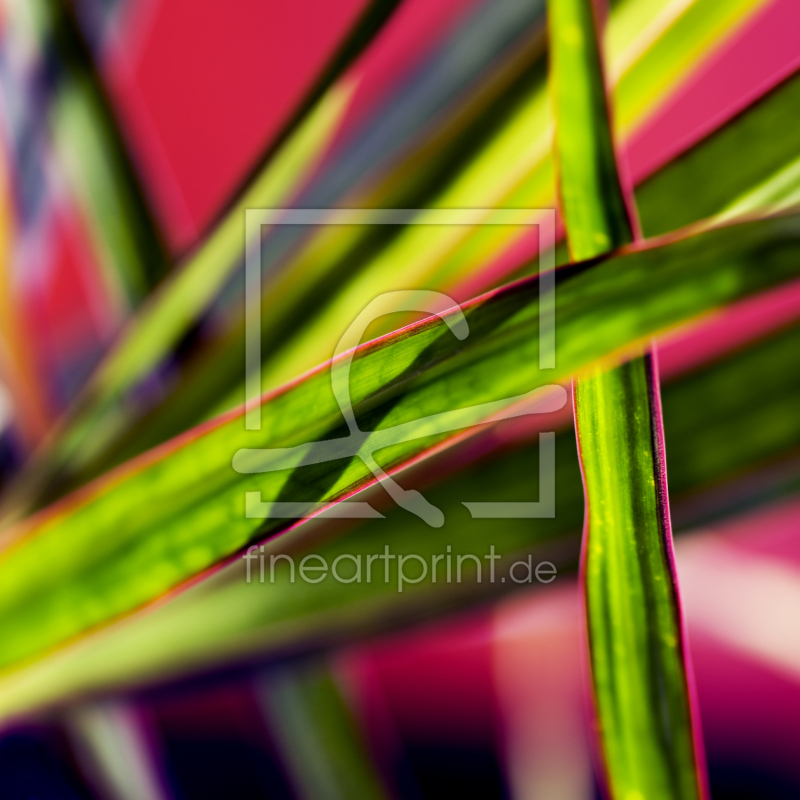 frei w&auml;hlbarer Bildausschnitt f&uuml;r Ihr Bild auf Kissen