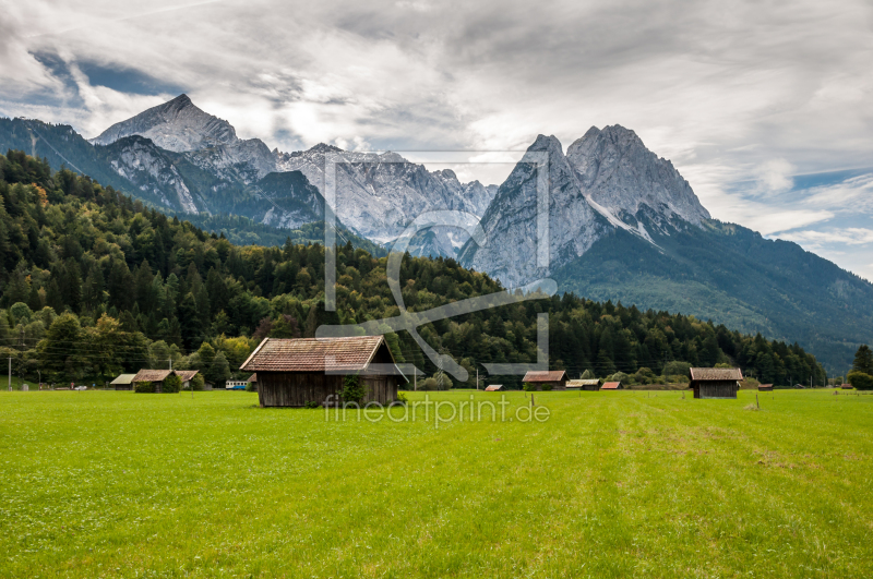 frei wählbarer Bildausschnitt für Ihr Bild auf Kissen