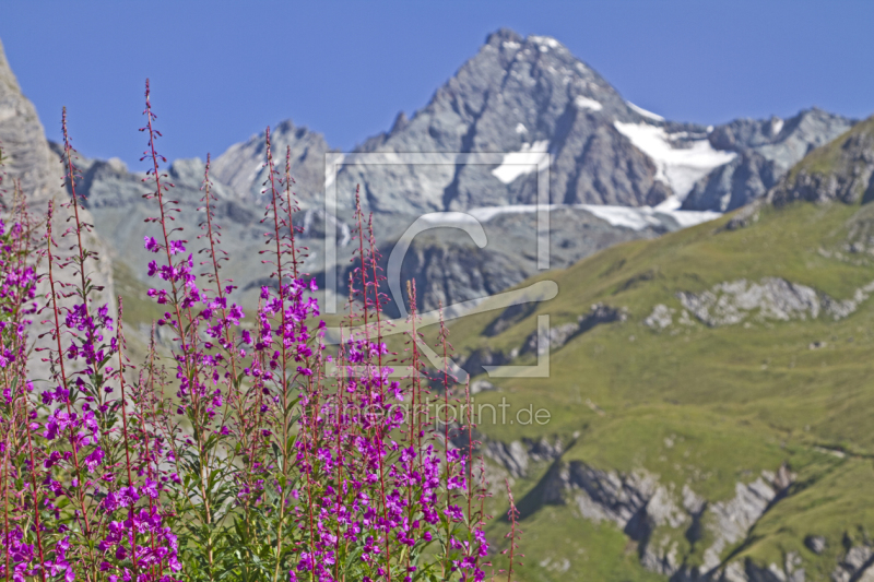 frei wählbarer Bildausschnitt für Ihr Bild auf Kissen