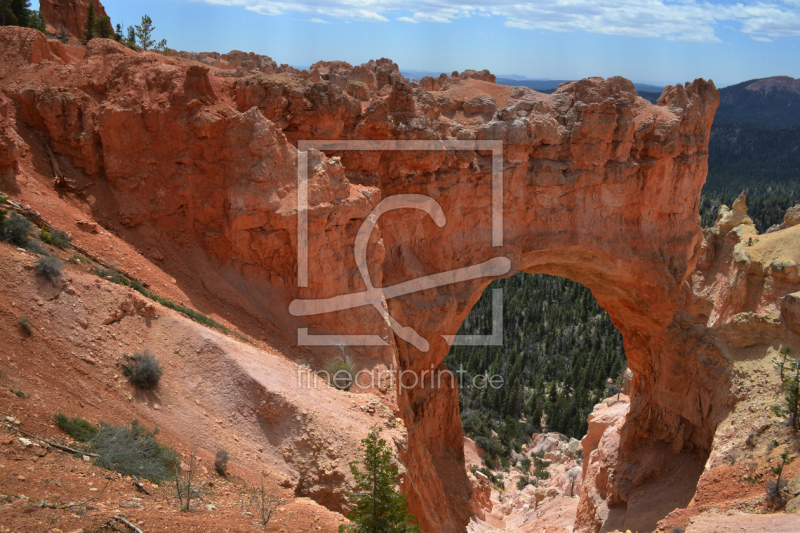 frei wählbarer Bildausschnitt für Ihr Bild auf Kissen