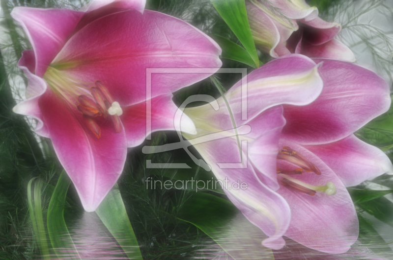 frei wählbarer Bildausschnitt für Ihr Bild auf Kissen