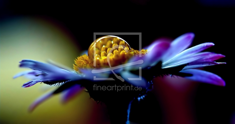 frei w&auml;hlbarer Bildausschnitt f&uuml;r Ihr Bild auf Kissen