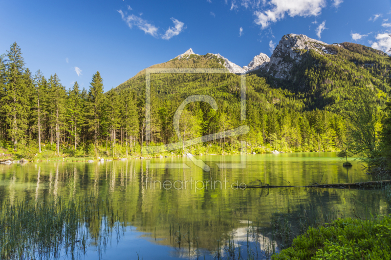 frei wählbarer Bildausschnitt für Ihr Bild auf Kissen