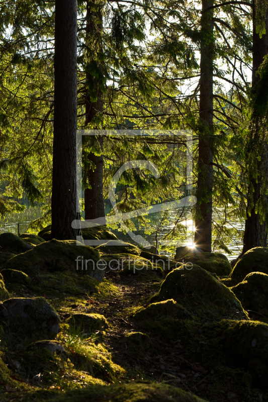 frei wählbarer Bildausschnitt für Ihr Bild auf Kissen