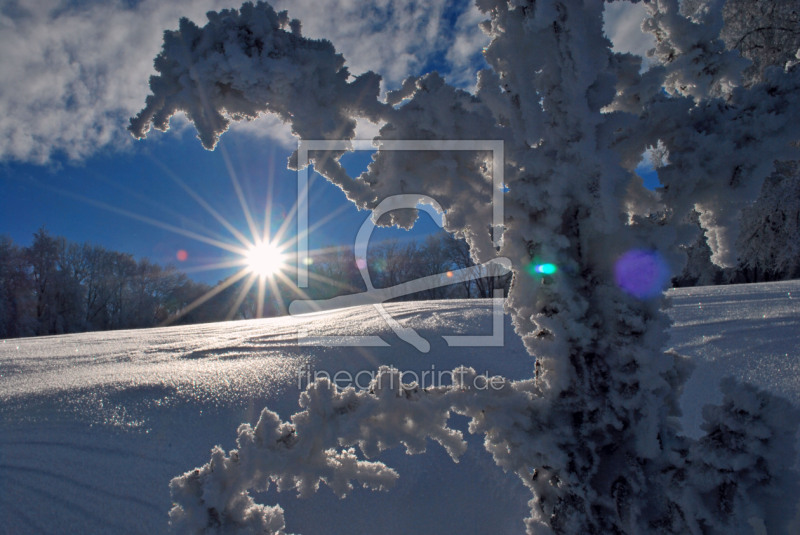 frei wählbarer Bildausschnitt für Ihr Bild auf Kissen