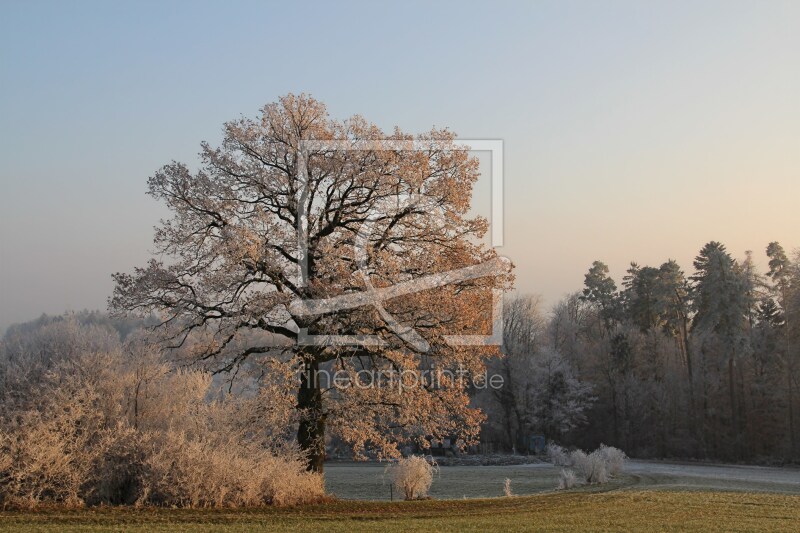 frei wählbarer Bildausschnitt für Ihr Bild auf Kissen