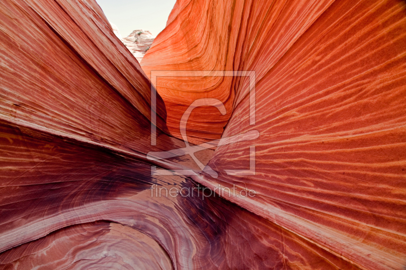 frei wählbarer Bildausschnitt für Ihr Bild auf Kissen