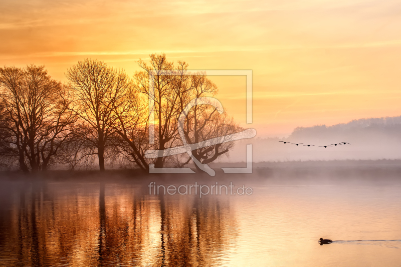 frei wählbarer Bildausschnitt für Ihr Bild auf Kissen