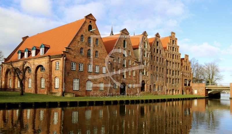 frei wählbarer Bildausschnitt für Ihr Bild auf Kissen