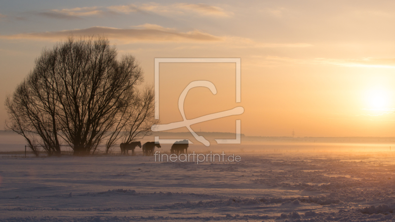 frei w&auml;hlbarer Bildausschnitt f&uuml;r Ihr Bild auf Kissen