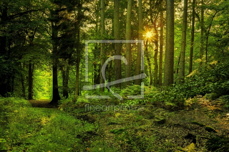 frei w&auml;hlbarer Bildausschnitt f&uuml;r Ihr Bild auf Kissen