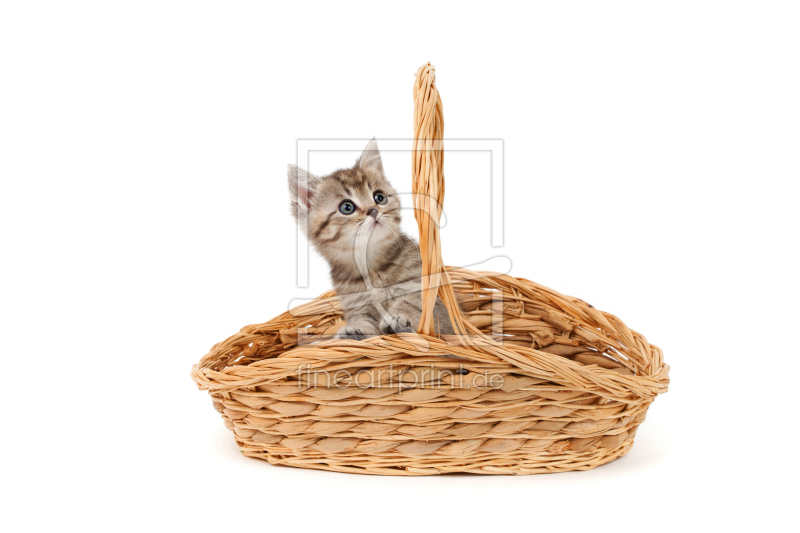 frei wählbarer Bildausschnitt für Ihr Bild auf Kissen