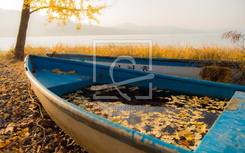 frei wählbarer Bildausschnitt für Ihr Bild auf Kissen