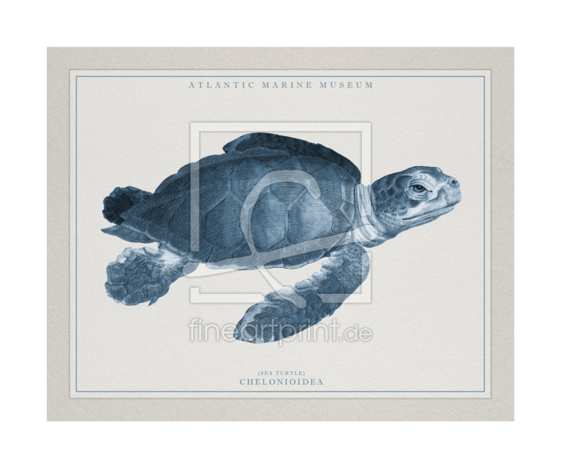 frei w&auml;hlbarer Bildausschnitt f&uuml;r Ihr Bild auf Kissen