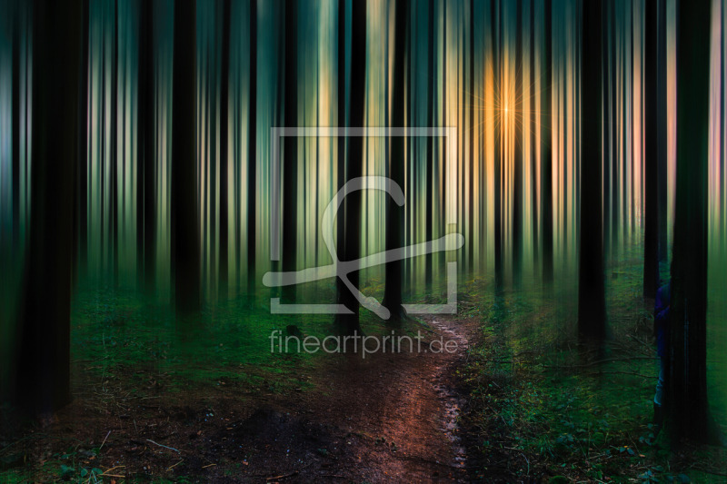 frei wählbarer Bildausschnitt für Ihr Bild auf Kissen