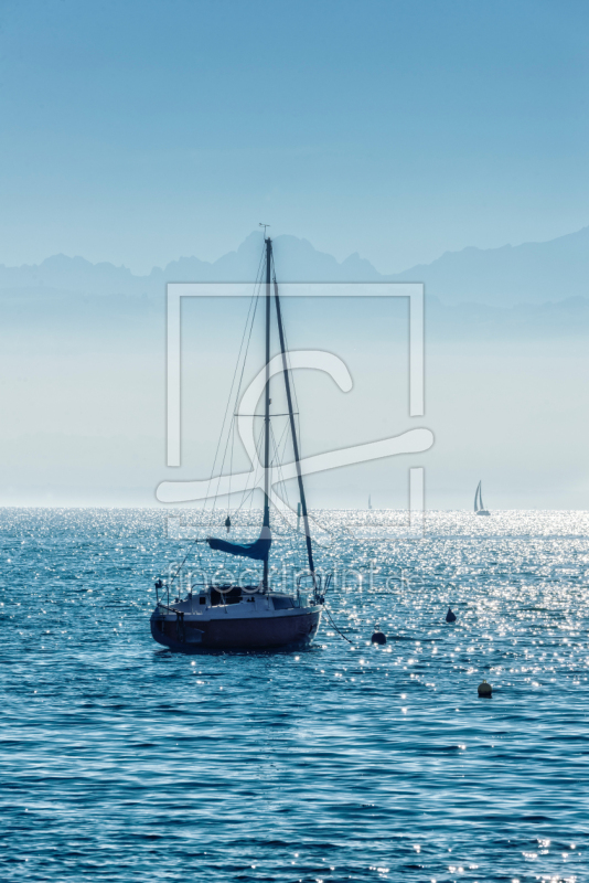 frei wählbarer Bildausschnitt für Ihr Bild auf Kissen