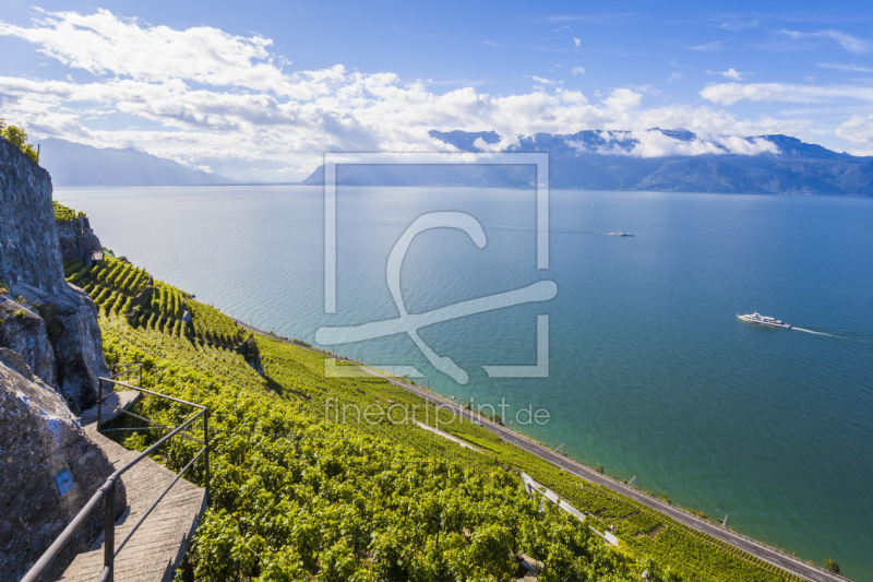 frei wählbarer Bildausschnitt für Ihr Bild auf Kissen