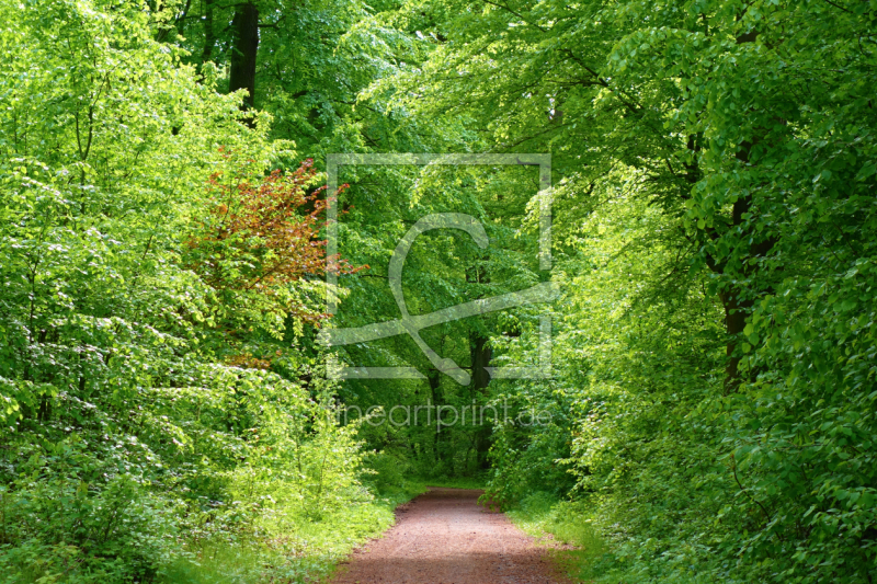 frei wählbarer Bildausschnitt für Ihr Bild auf Kissen