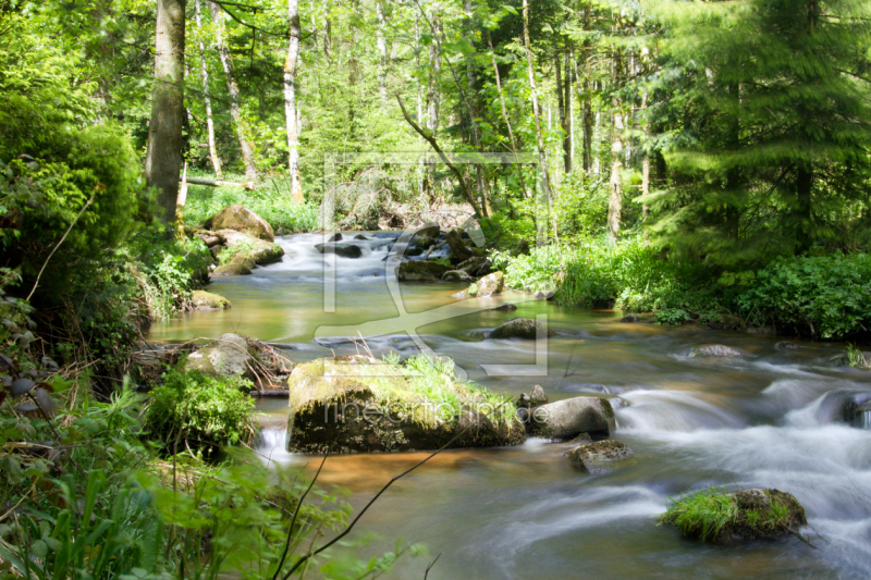 frei wählbarer Bildausschnitt für Ihr Bild auf Kissen