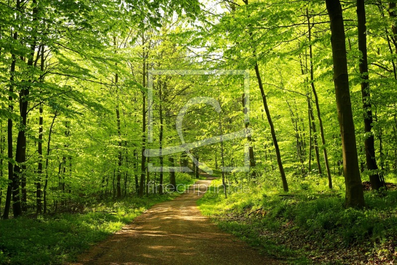 frei wählbarer Bildausschnitt für Ihr Bild auf Kissen