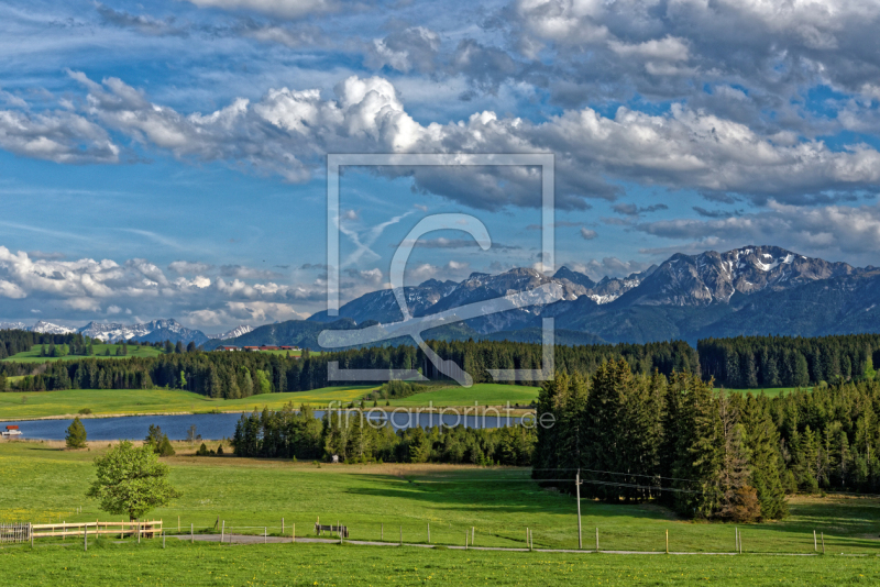 frei wählbarer Bildausschnitt für Ihr Bild auf Kissen