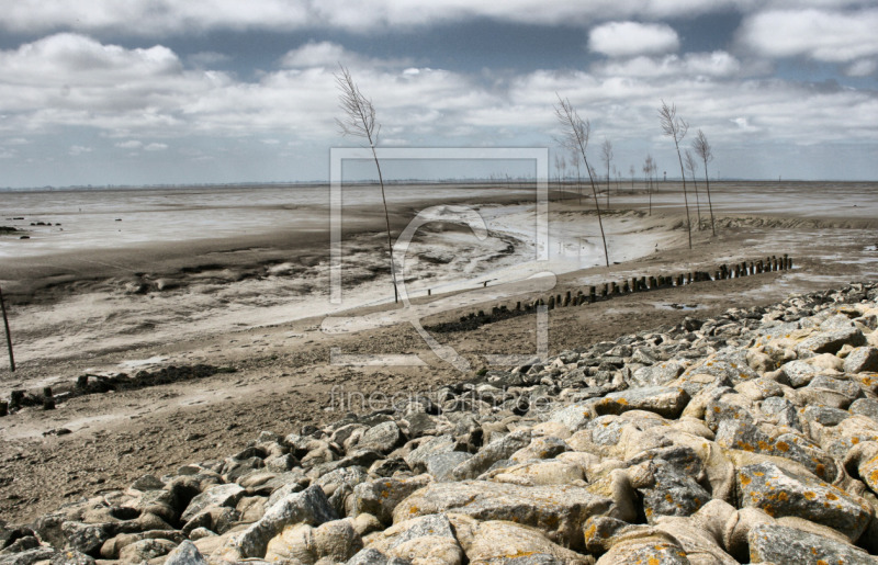 frei w&auml;hlbarer Bildausschnitt f&uuml;r Ihr Bild auf Kissen