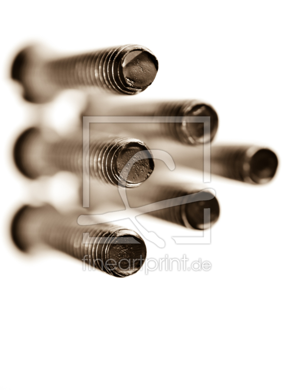 frei w&auml;hlbarer Bildausschnitt f&uuml;r Ihr Bild auf Kissen