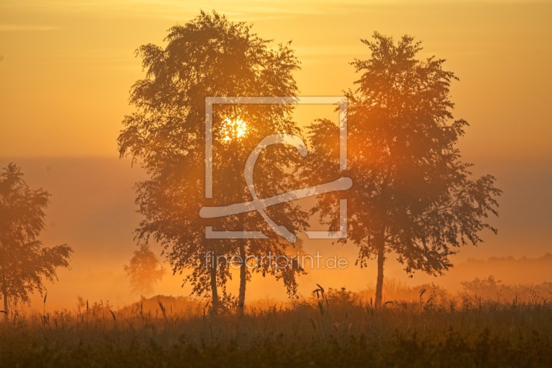 frei wählbarer Bildausschnitt für Ihr Bild auf Kissen