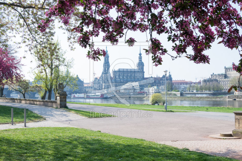 frei wählbarer Bildausschnitt für Ihr Bild auf Kissen