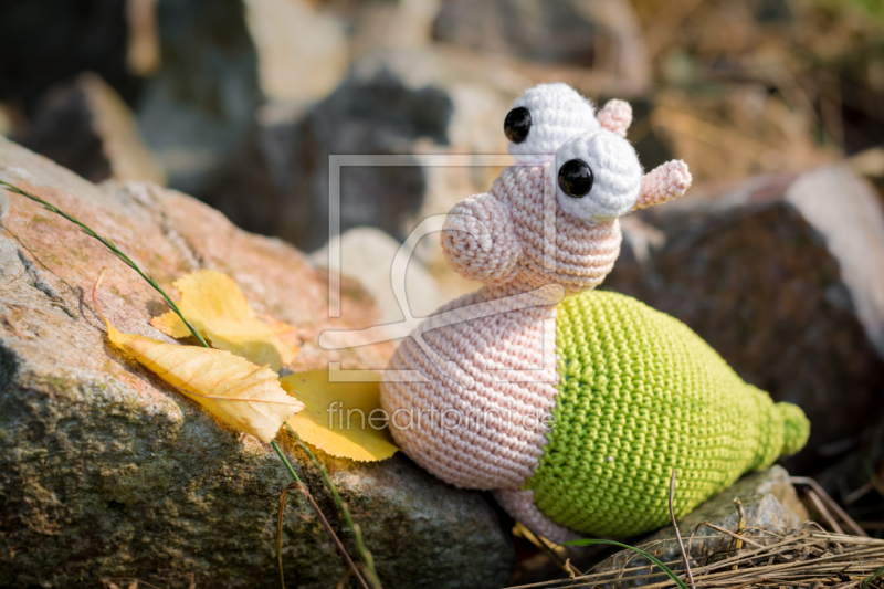 frei wählbarer Bildausschnitt für Ihr Bild auf Kissen