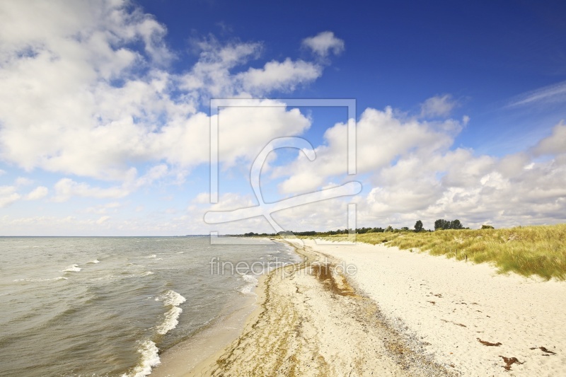 frei wählbarer Bildausschnitt für Ihr Bild auf Kissen