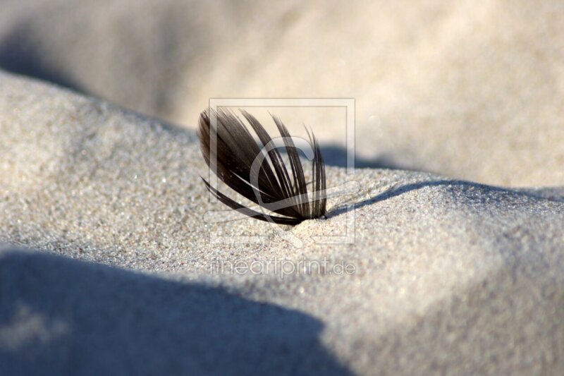 frei wählbarer Bildausschnitt für Ihr Bild auf Kissen