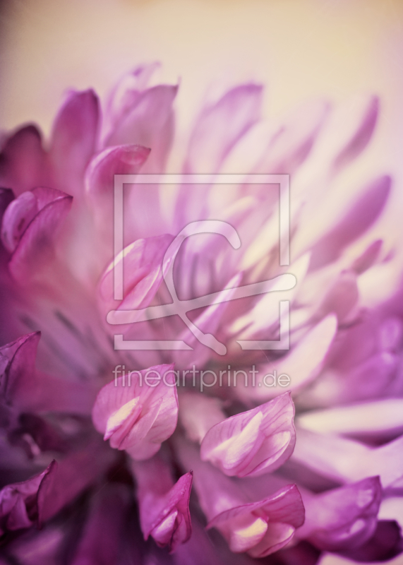 frei w&auml;hlbarer Bildausschnitt f&uuml;r Ihr Bild auf Kissen