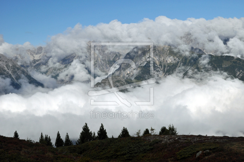 frei w&auml;hlbarer Bildausschnitt f&uuml;r Ihr Bild auf Kissen