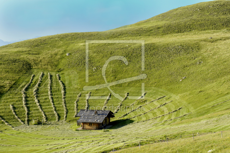 frei wählbarer Bildausschnitt für Ihr Bild auf Kissen
