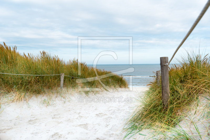 frei wählbarer Bildausschnitt für Ihr Bild auf Kissen