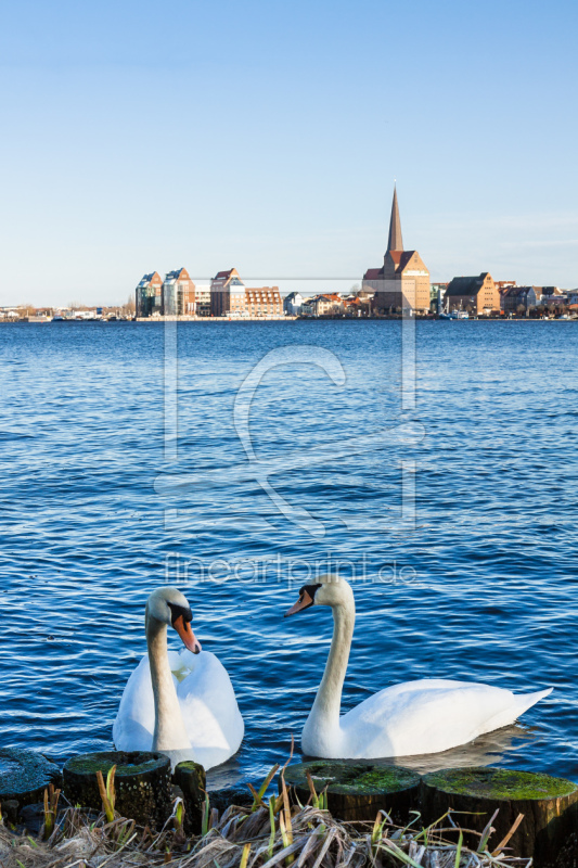 frei wählbarer Bildausschnitt für Ihr Bild auf Kissen