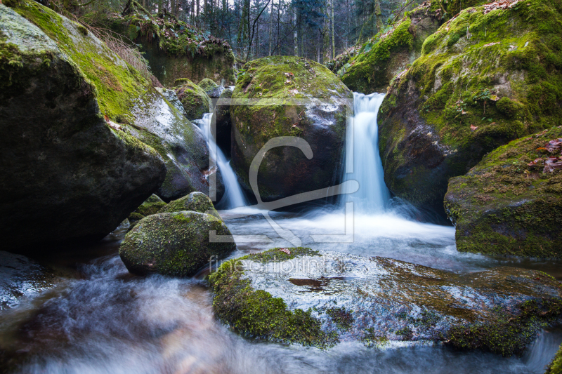 frei wählbarer Bildausschnitt für Ihr Bild auf Kissen