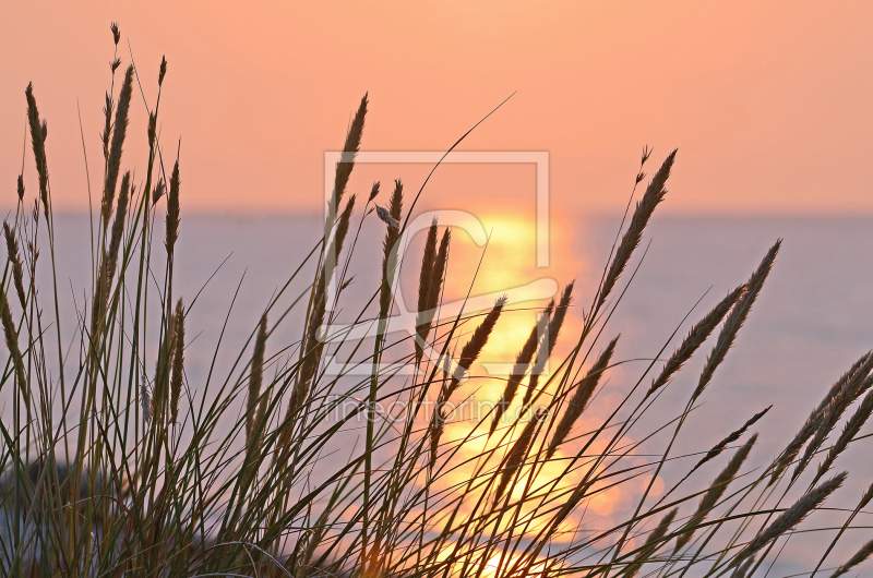 frei wählbarer Bildausschnitt für Ihr Bild auf Kissen