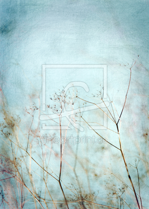 frei w&auml;hlbarer Bildausschnitt f&uuml;r Ihr Bild auf Kissen