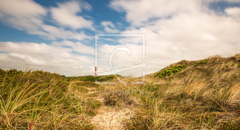 frei w&auml;hlbarer Bildausschnitt f&uuml;r Ihr Bild auf Kissen
