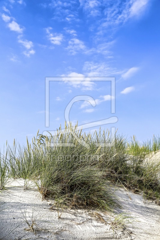 frei wählbarer Bildausschnitt für Ihr Bild auf Kissen