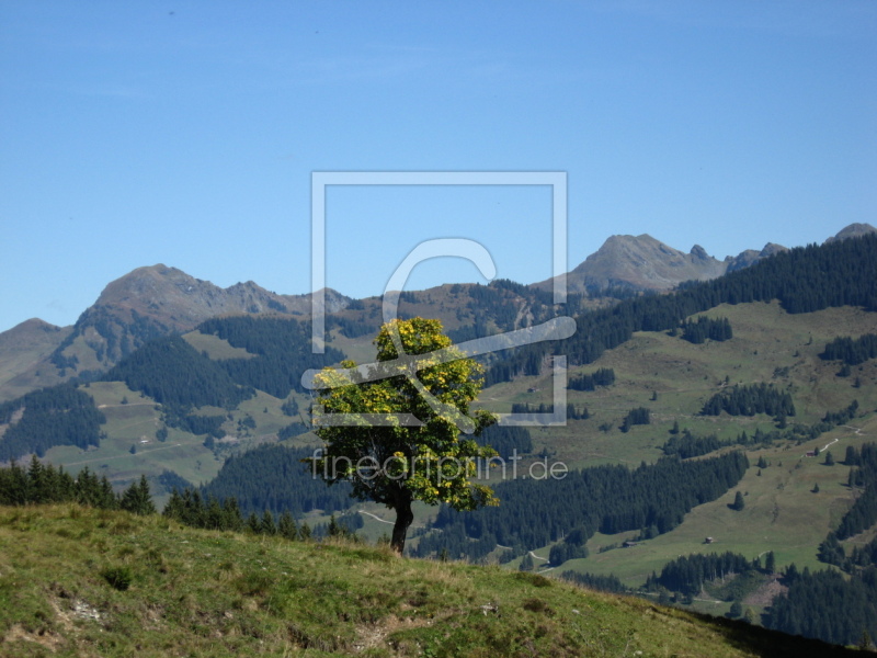 frei wählbarer Bildausschnitt für Ihr Bild auf Kissen