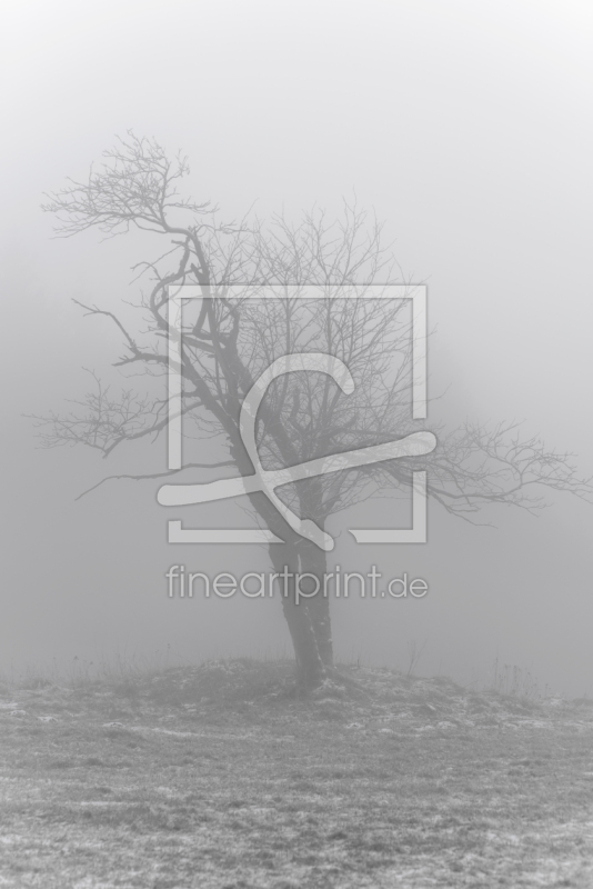 frei w&auml;hlbarer Bildausschnitt f&uuml;r Ihr Bild auf Kissen